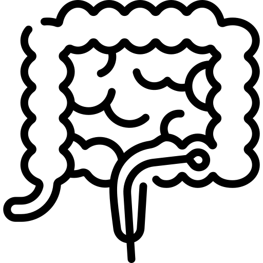 colonoscopia icone