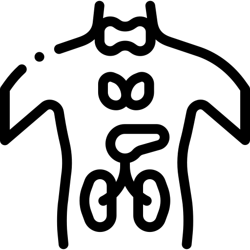 icons 2